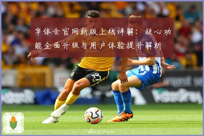 华体会官网新版上线详解：核心功能全面升级与用户体验提升解析